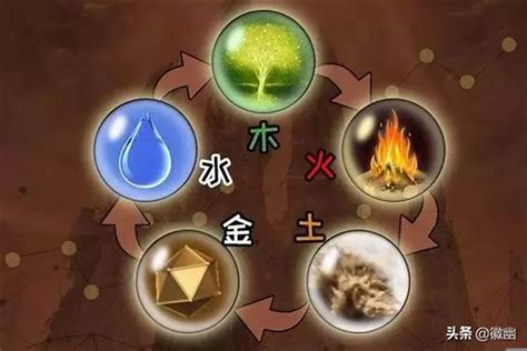 五型人格金木水火土